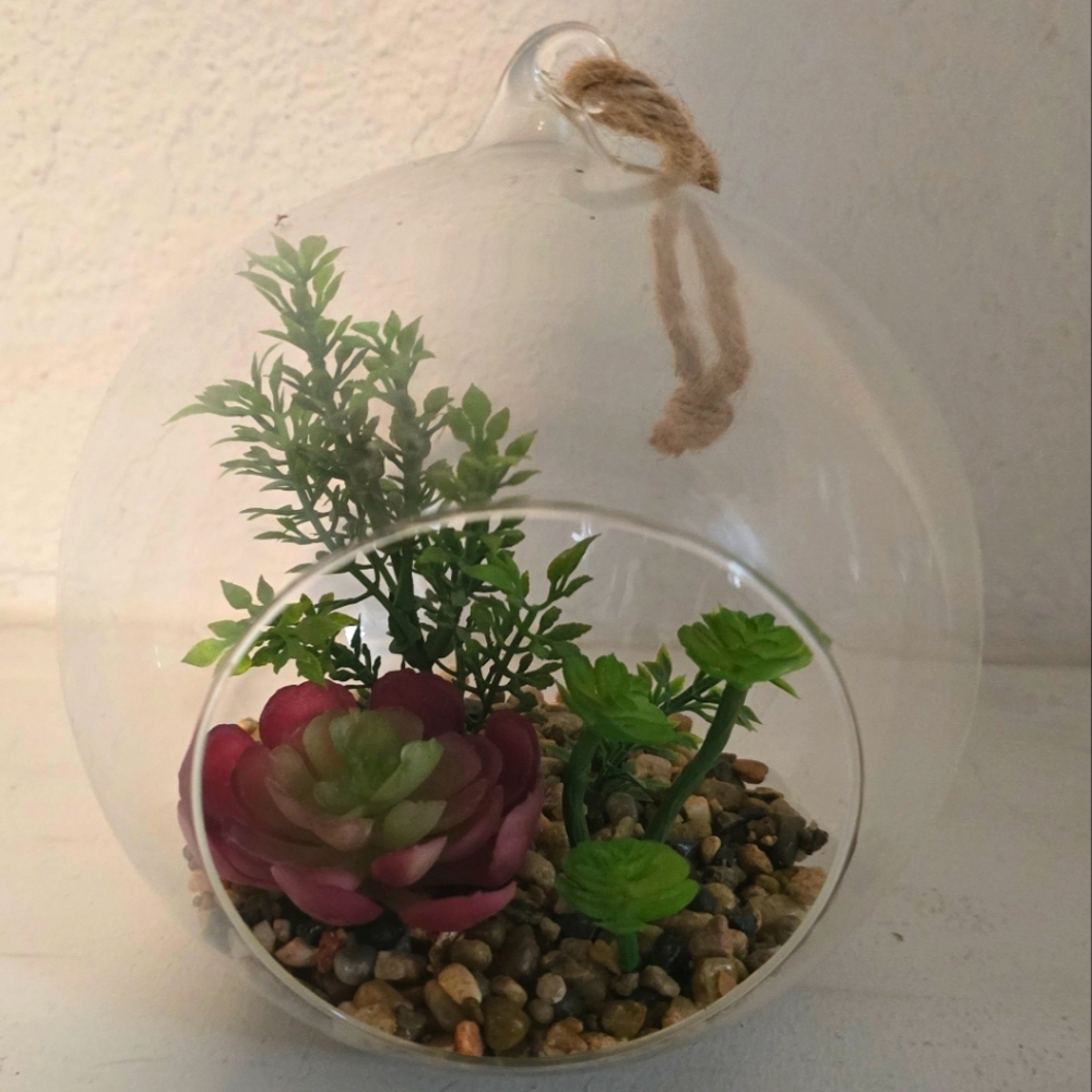 Glass Terrarium with Green and Red Accents